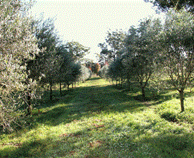 Langdale Farm - Northern Rivers Accommodation