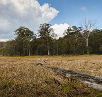 Mummel Gulf National Park - Northern Rivers Accommodation