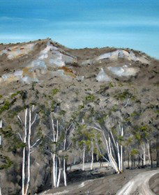 Greg Wilson Gallery - Northern Rivers Accommodation 2