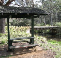 Barrington Tops State Forest - Northern Rivers Accommodation