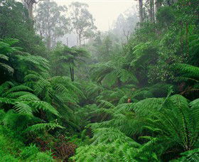 Balook VIC Northern Rivers Accommodation