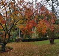 Bellbird Cottage - Northern Rivers Accommodation