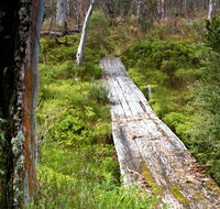 Gloucester Tops circuit - Northern Rivers Accommodation