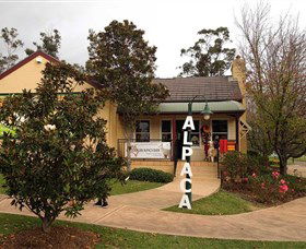 Australian Alpaca Barn - Hunter Valley Gardens - Northern Rivers Accommodation 0