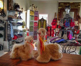 Australian Alpaca Barn - Hunter Valley Gardens - Northern Rivers Accommodation 2