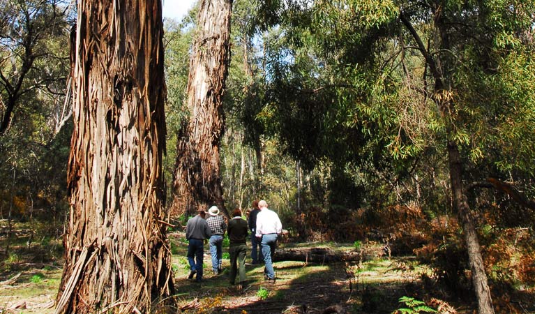 Capital Country NSW Northern Rivers Accommodation