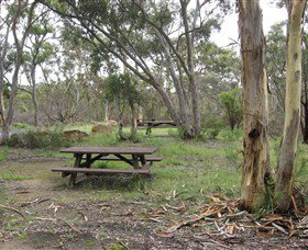 Box Vale Picnic Area - Northern Rivers Accommodation 2