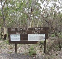 Box Vale Picnic Area - Northern Rivers Accommodation