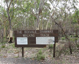 Box Vale Picnic Area - Northern Rivers Accommodation 0