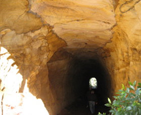 Box Vale Picnic Area - Northern Rivers Accommodation 1