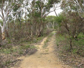 Box Vale Picnic Area - Northern Rivers Accommodation 4