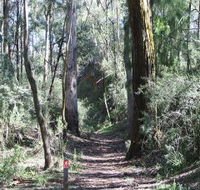 Box Vale Mine Walking Track and Lookout - Northern Rivers Accommodation