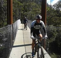 McGees Cycling Store - Northern Rivers Accommodation
