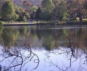 Lake Alexandra Reserve - Northern Rivers Accommodation 2