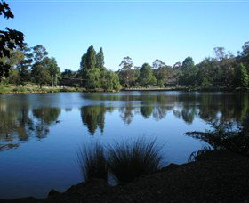 Lake Alexandra Reserve - Northern Rivers Accommodation 3