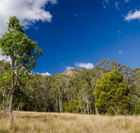 Brush Turkey track - Northern Rivers Accommodation