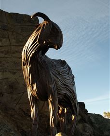 Nanny Goat Hill Lookout - Northern Rivers Accommodation 0