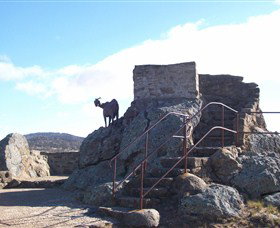 Nanny Goat Hill Lookout - Northern Rivers Accommodation 3