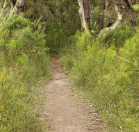 Three Views walking track - Northern Rivers Accommodation