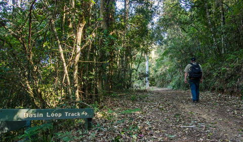 Basin Loop Track - Northern Rivers Accommodation 0