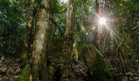 Basin Loop Track - Northern Rivers Accommodation 1