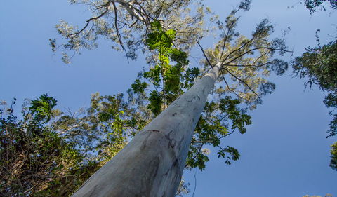Basin Loop Track - Northern Rivers Accommodation 2