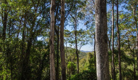 Basin Loop Track - Northern Rivers Accommodation 3