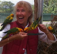 Maleny Botanic Gardens  Bird World - Northern Rivers Accommodation
