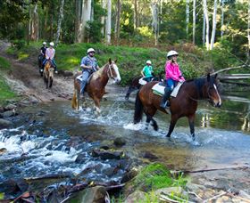 Glenworth Valley Horse Riding - Northern Rivers Accommodation 1