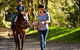 Glenworth Valley Horse Riding - thumb 3