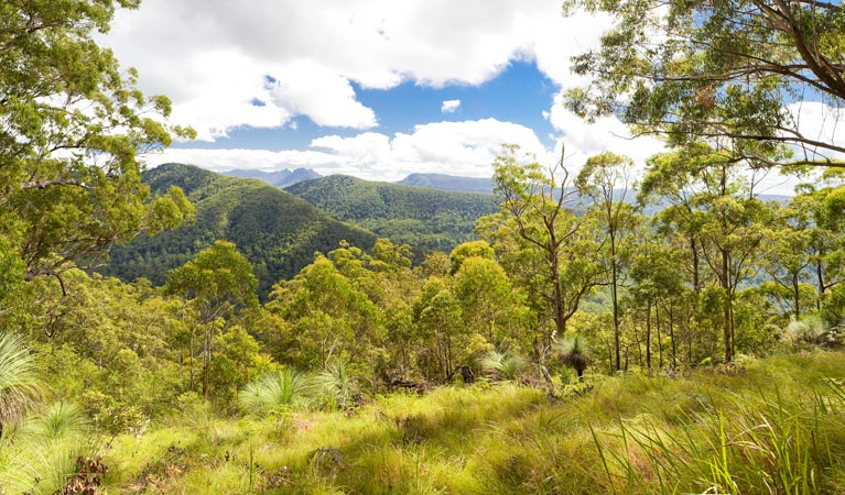 Afterlee NSW Northern Rivers Accommodation