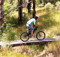 The Steps Mountain Bike Park - Northern Rivers Accommodation
