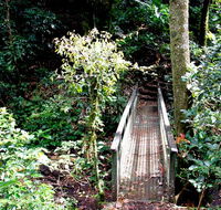 Richmond Range National Park - Northern Rivers Accommodation