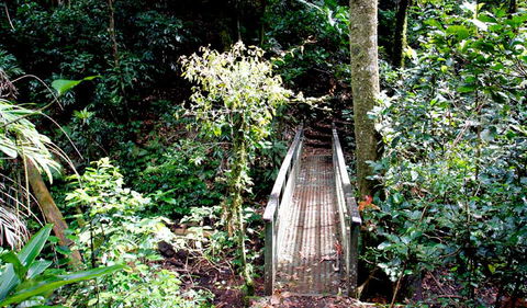 Richmond Range National Park - Northern Rivers Accommodation 0