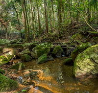 Palm Grove Nature Reserve - Northern Rivers Accommodation