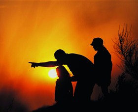 Mallanganee Lookout - Northern Rivers Accommodation 1