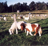 Trudgalong Farm - Northern Rivers Accommodation