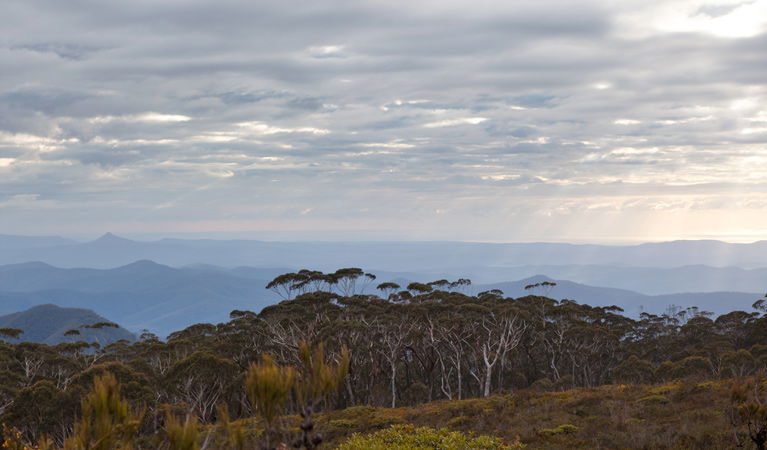Budawang NSW Northern Rivers Accommodation