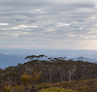 Mount Budawang trail - Northern Rivers Accommodation