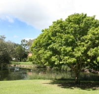 Hervey Bay Botanic Gardens - Northern Rivers Accommodation