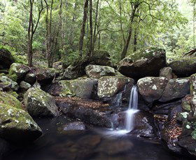 Kangaroo River - Northern Rivers Accommodation 0