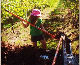 East Gippsland Wines - Northern Rivers Accommodation 5