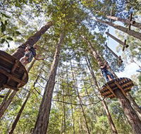TreeTop Adventure Park Central Coast - Northern Rivers Accommodation