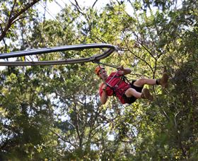 TreeTops Crazy Rider - Northern Rivers Accommodation 1