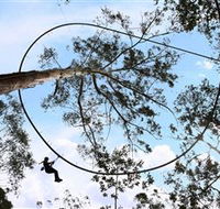 TreeTops Crazy Rider - Northern Rivers Accommodation