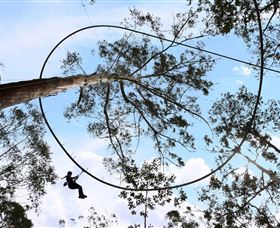 TreeTops Crazy Rider - Northern Rivers Accommodation 0