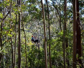 TreeTops Crazy Rider - Northern Rivers Accommodation 3