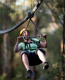 TreeTops Crazy Rider - Northern Rivers Accommodation 2