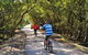 Bicentennial Park - Sydney Olympic Park - thumb 1