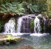 Barrington Tops National Park Walks - Northern Rivers Accommodation